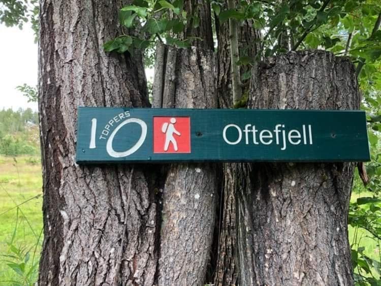 Sjarmerende Overnatting Sentralt I Vest-Telemark Hoydalsmo Eksteriør billede